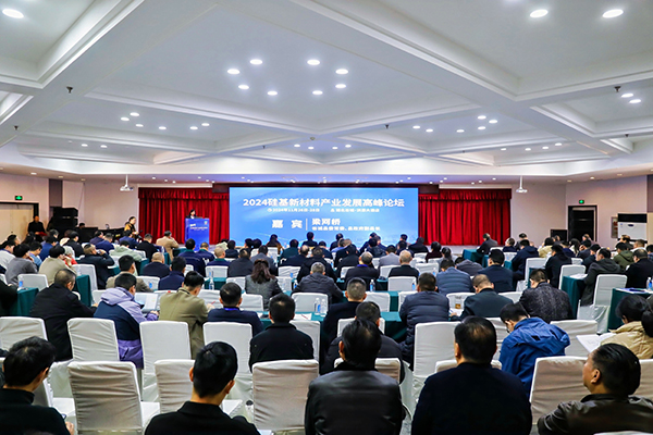 頂立科技參加硅基新材料高峰論壇，分享高純石英制備熱工裝備最新技術(shù) (2).jpg